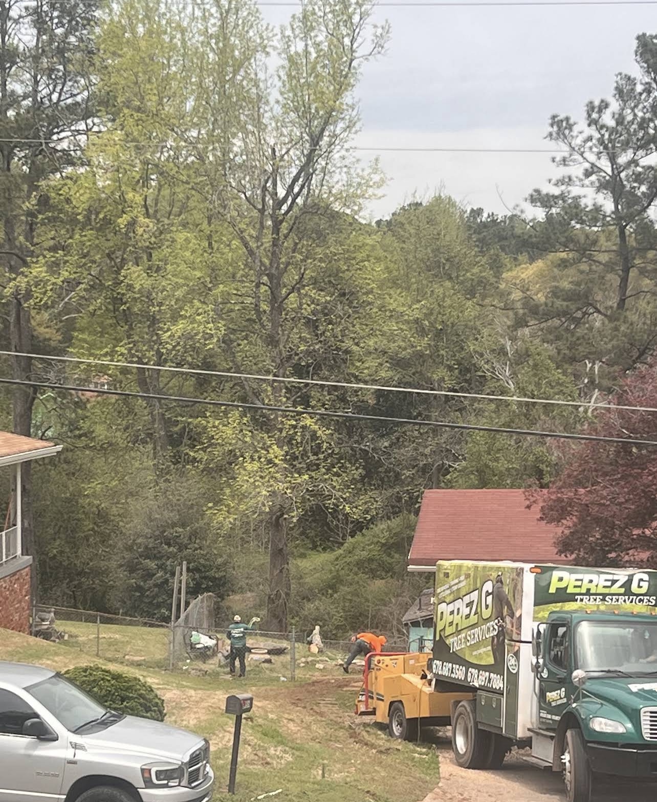 Perez G crew clearing trees with the truck and chipper staged on the driveway