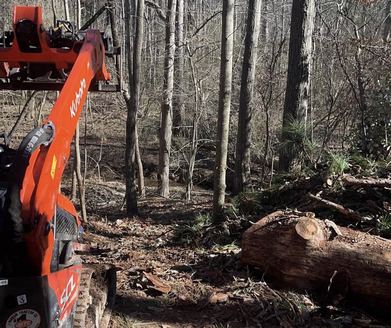 Kubota Dingo mini track loader working alongside freshly cut logs during lot clearing