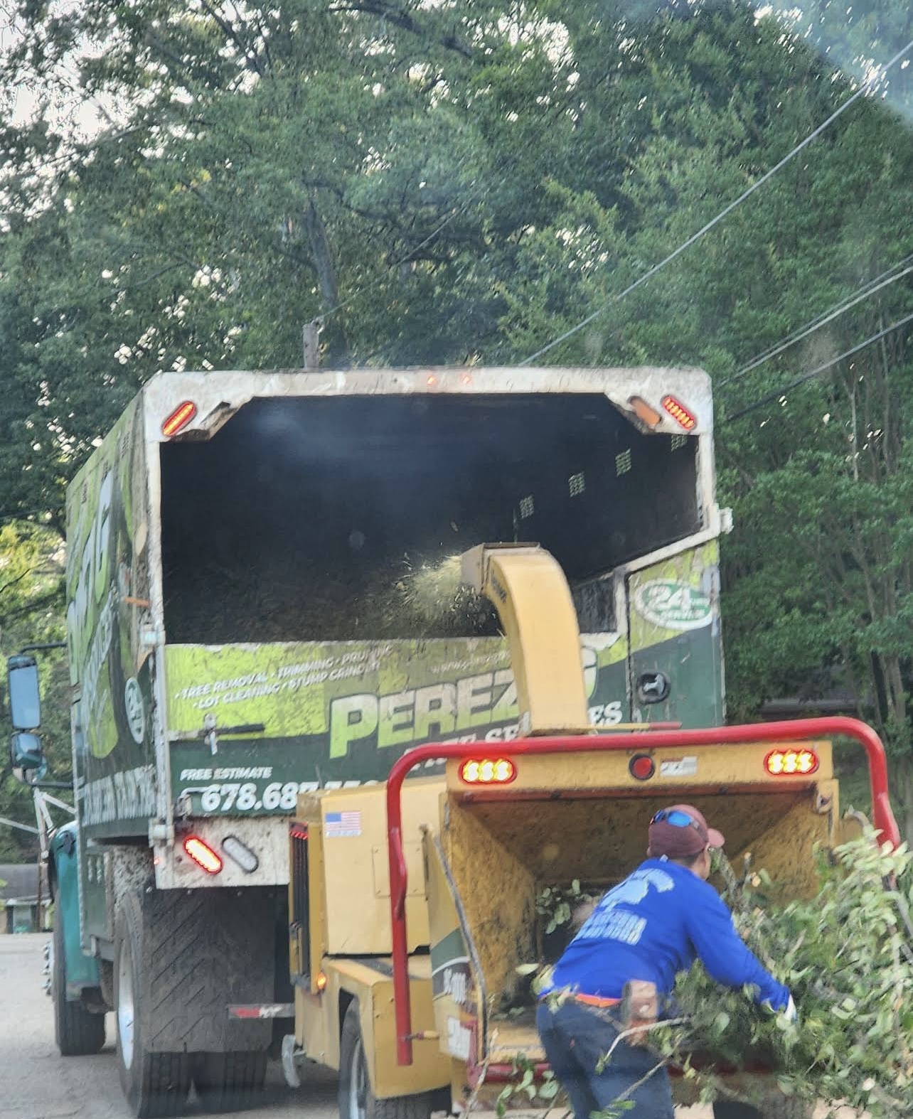 Wood chipper blowing chips into the Perez G dump truck as a crew member feeds branches